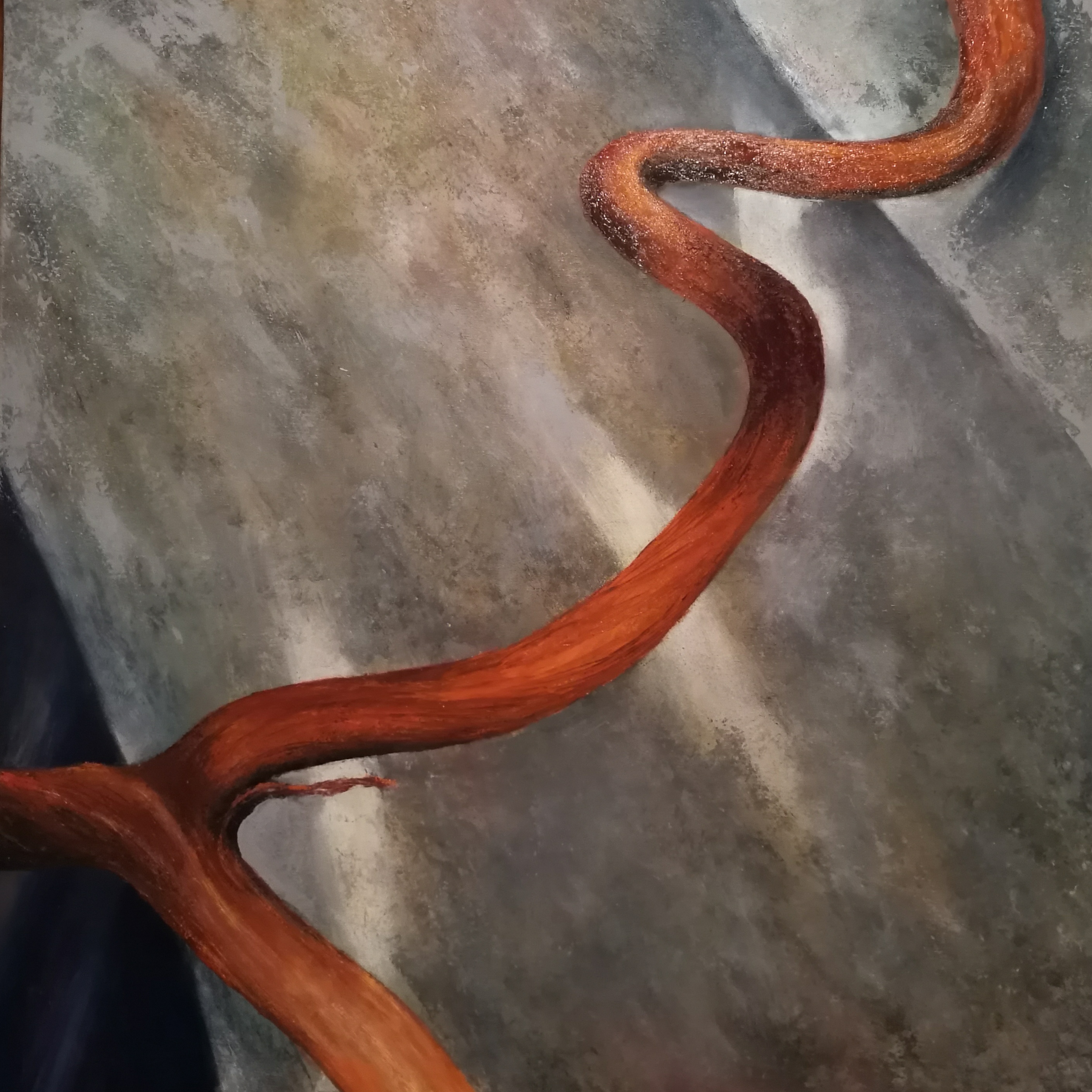 Spira Mirabilis